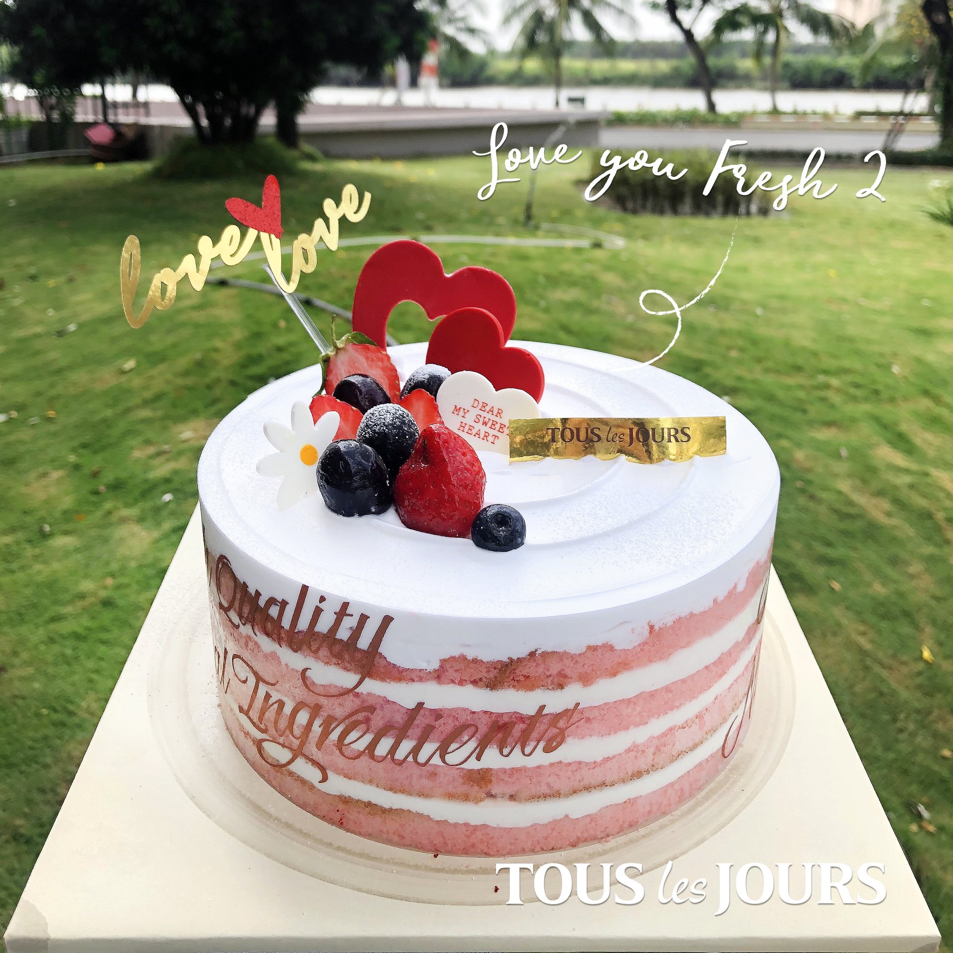 TOUS les JOURS ảnh 2