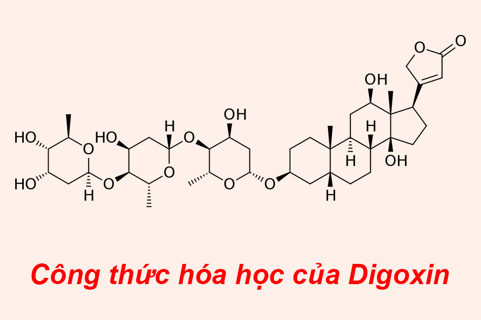 Digoxin ảnh 1