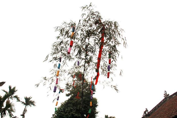 Cây nêu