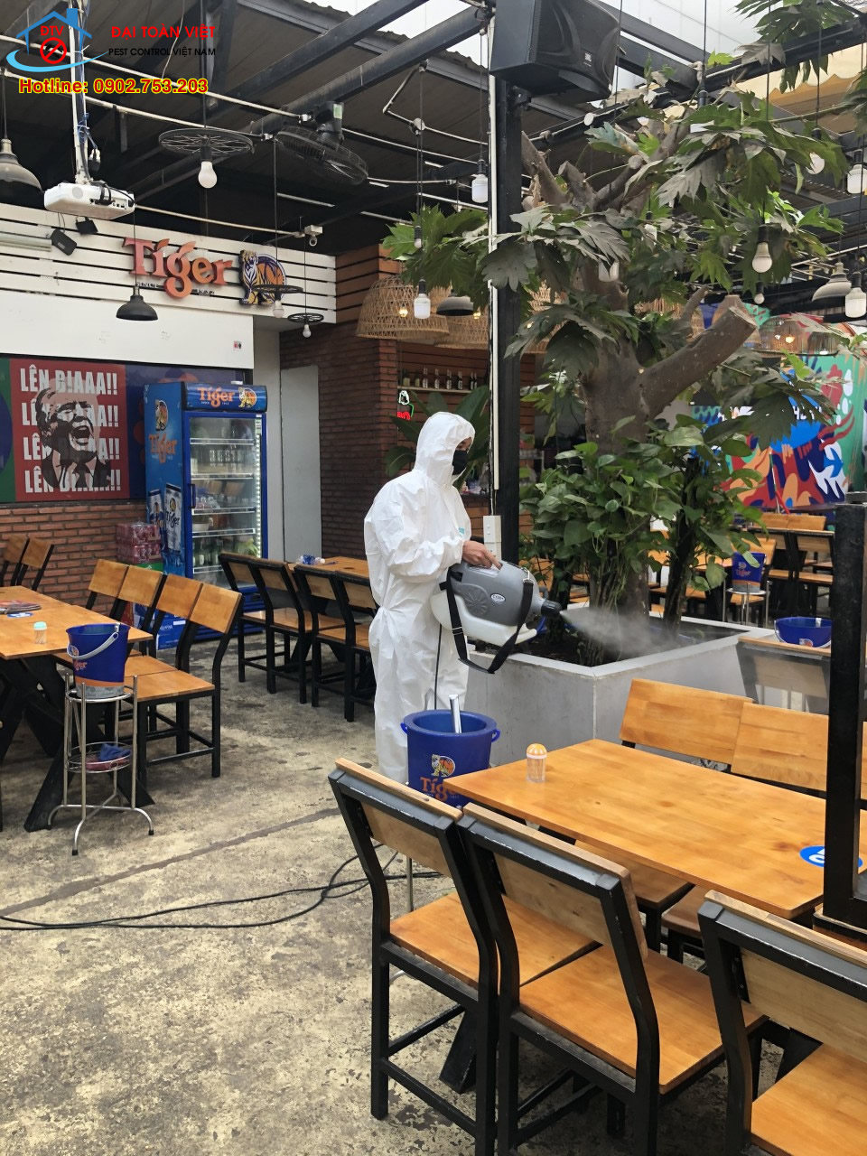 Công ty TNHH trừ mối và côn trùng Đại Toàn Việt ảnh 2