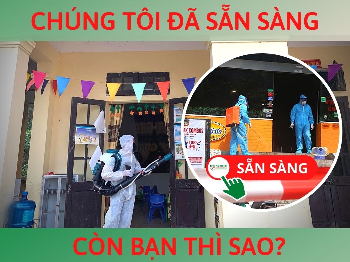 Hanoi Pest Control ảnh 1