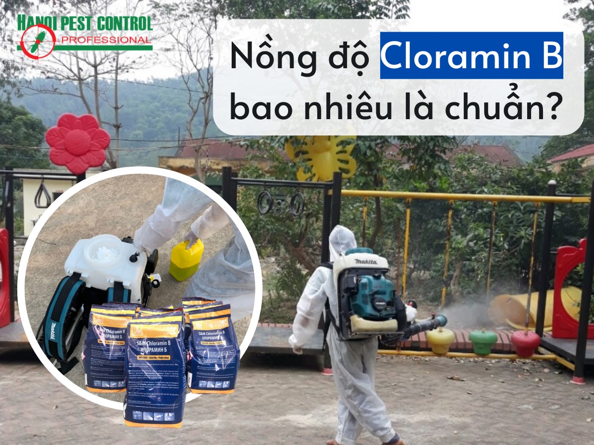 Hanoi Pest Control ảnh 2