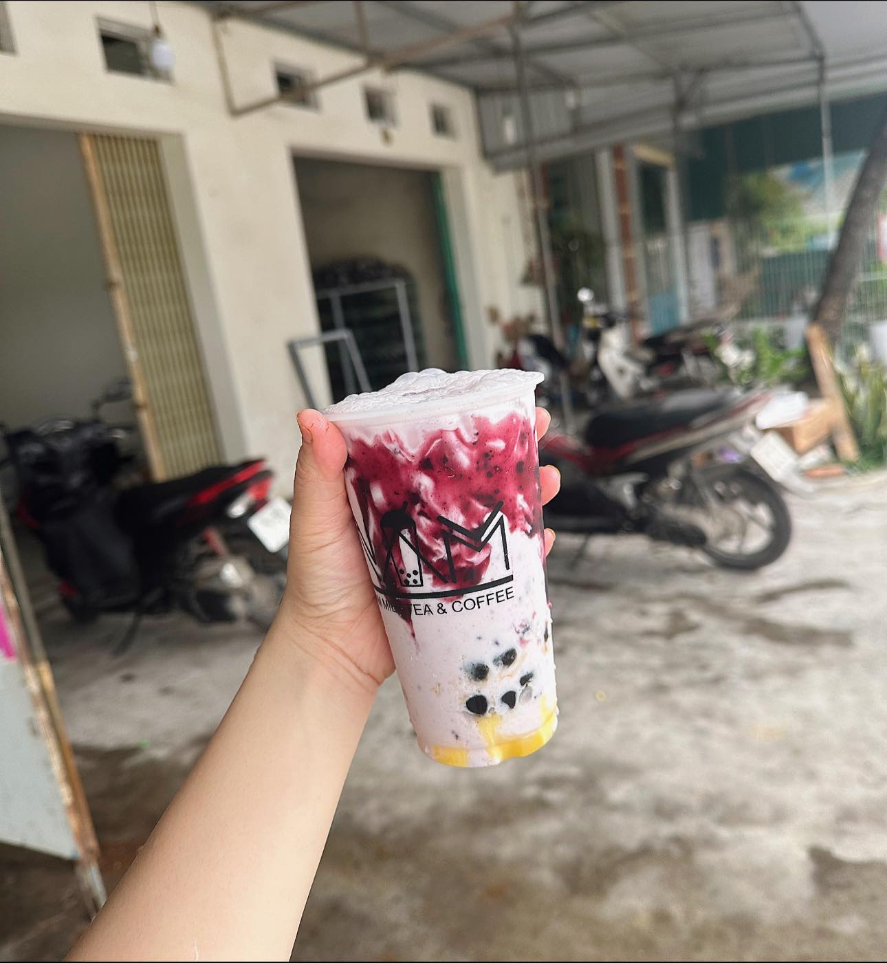 NẤM MILK TEA ảnh 1