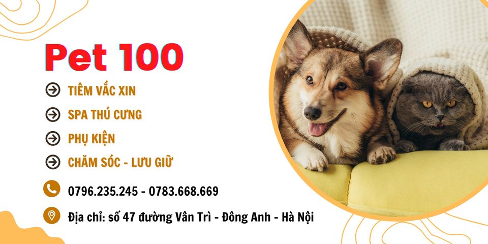 Phòng khám Thú Y PET 100 ảnh 1