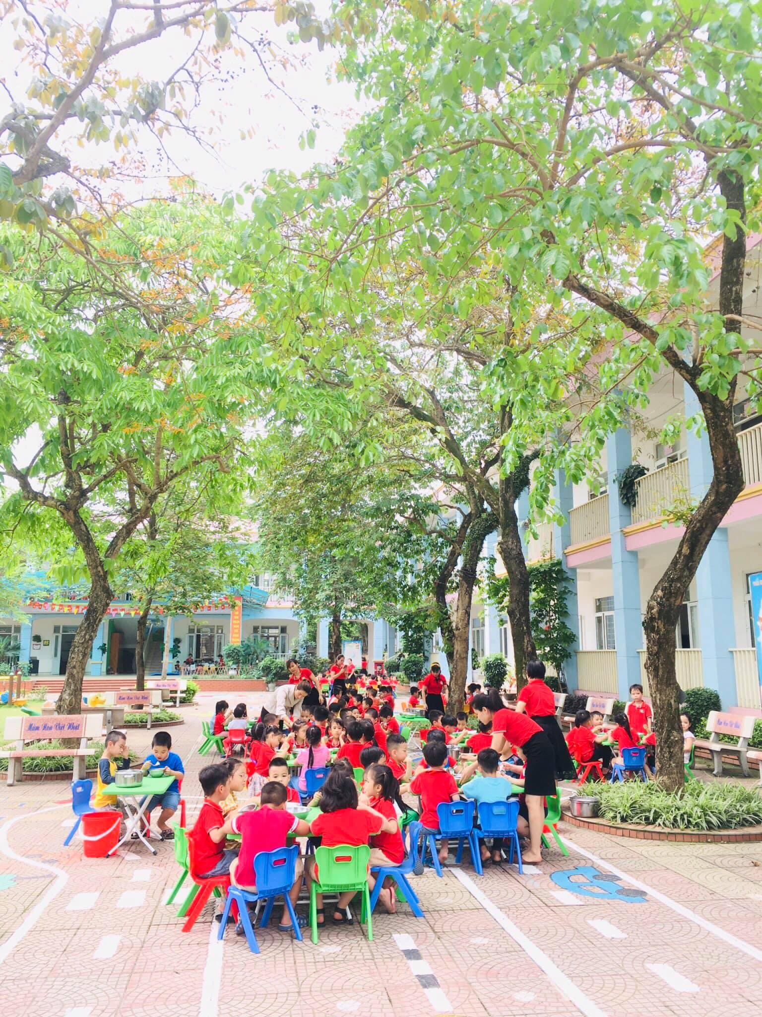 Trường Mầm Non Việt Nhật - Đông Anh ảnh 2