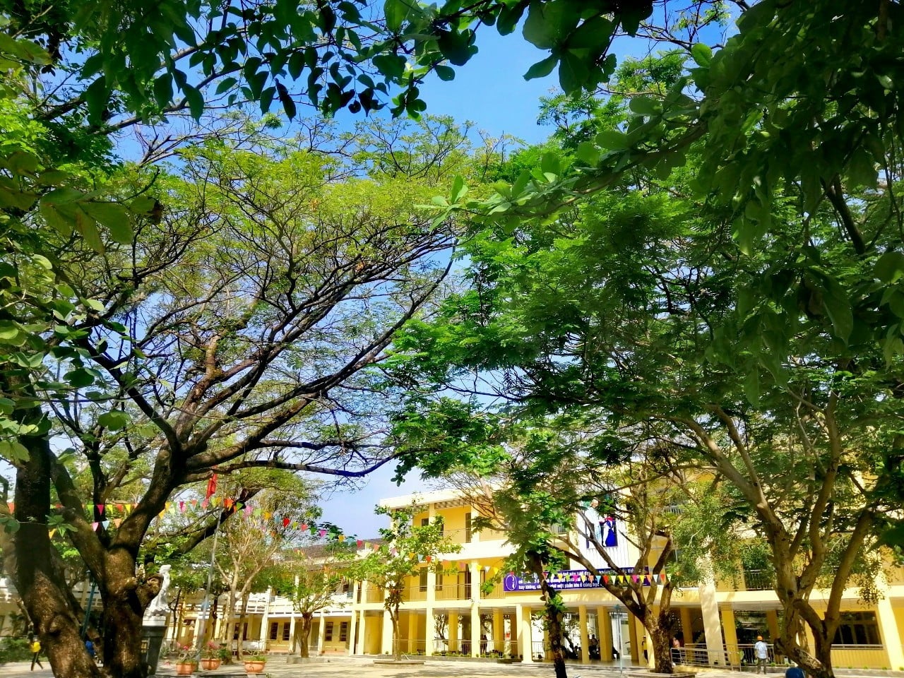 Trường THCS Lê Lợi - Đà Nẵng ảnh 2