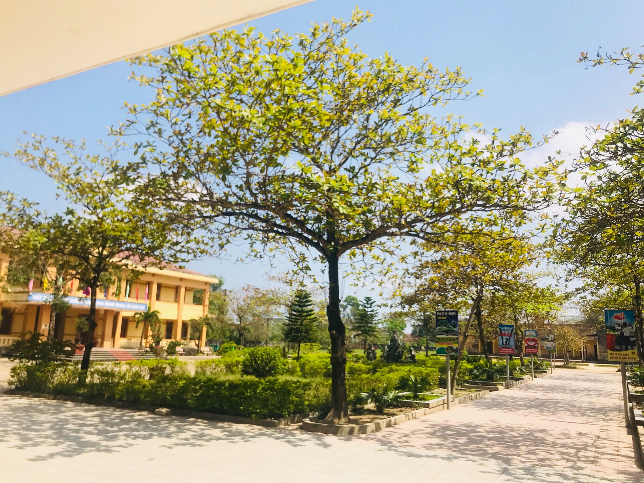 Trường THCS Nguyễn Du ảnh 1
