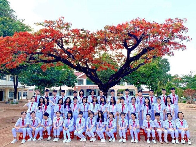 Trường THCS Trần Phú ảnh 1