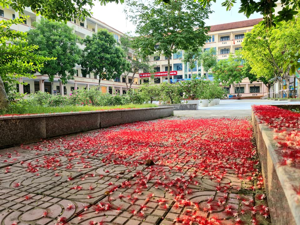 Trường THPT Chuyên Lào Cai ảnh 2