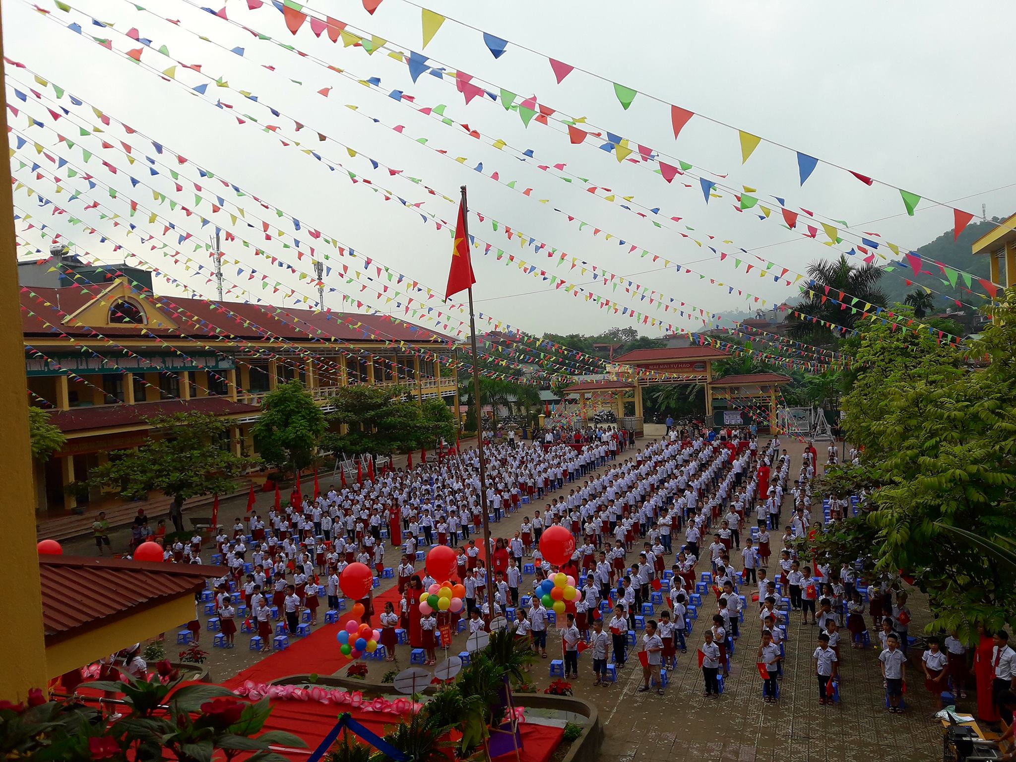 Trường tiểu học Nguyễn Du ảnh 1