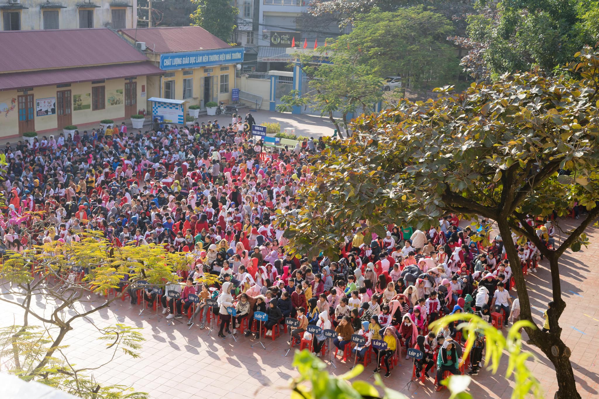 Trường tiểu học Tô Hiệu ảnh 2