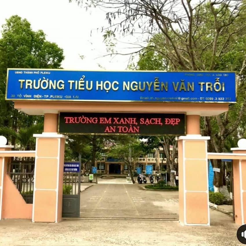 Trường tiểu học Trường Nguyễn Văn Trỗi ảnh 1