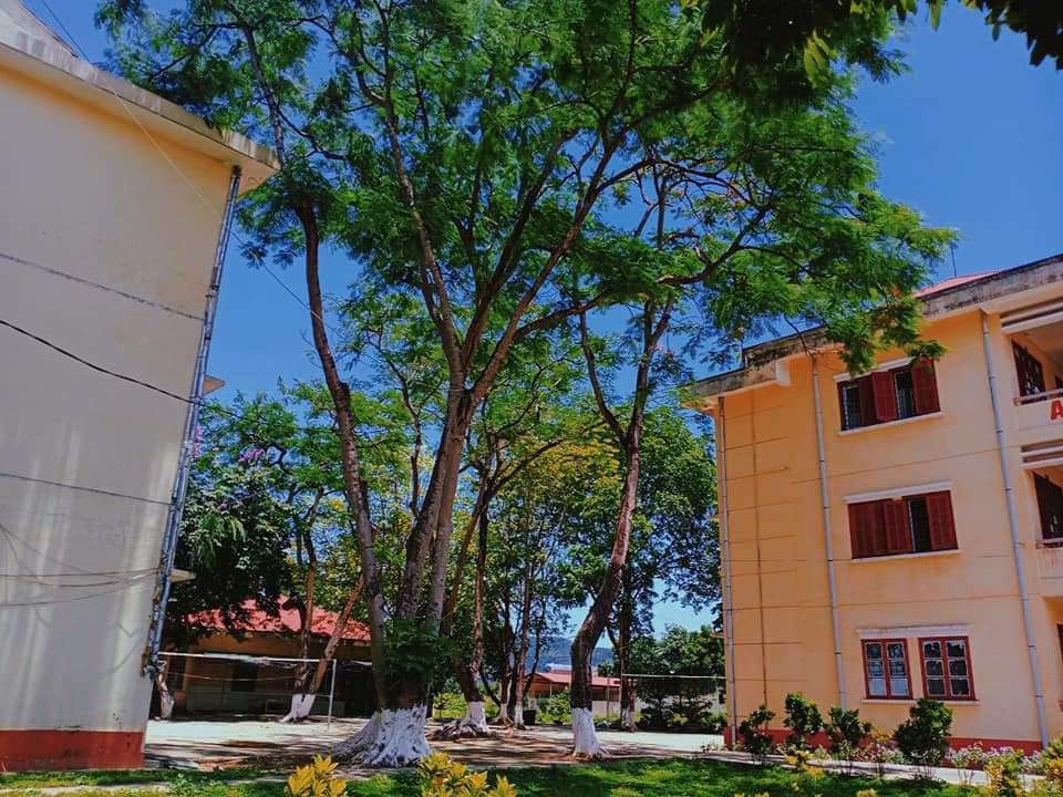 trường THPT Dân tộc nội trú tỉnh Lào Cai ảnh 2