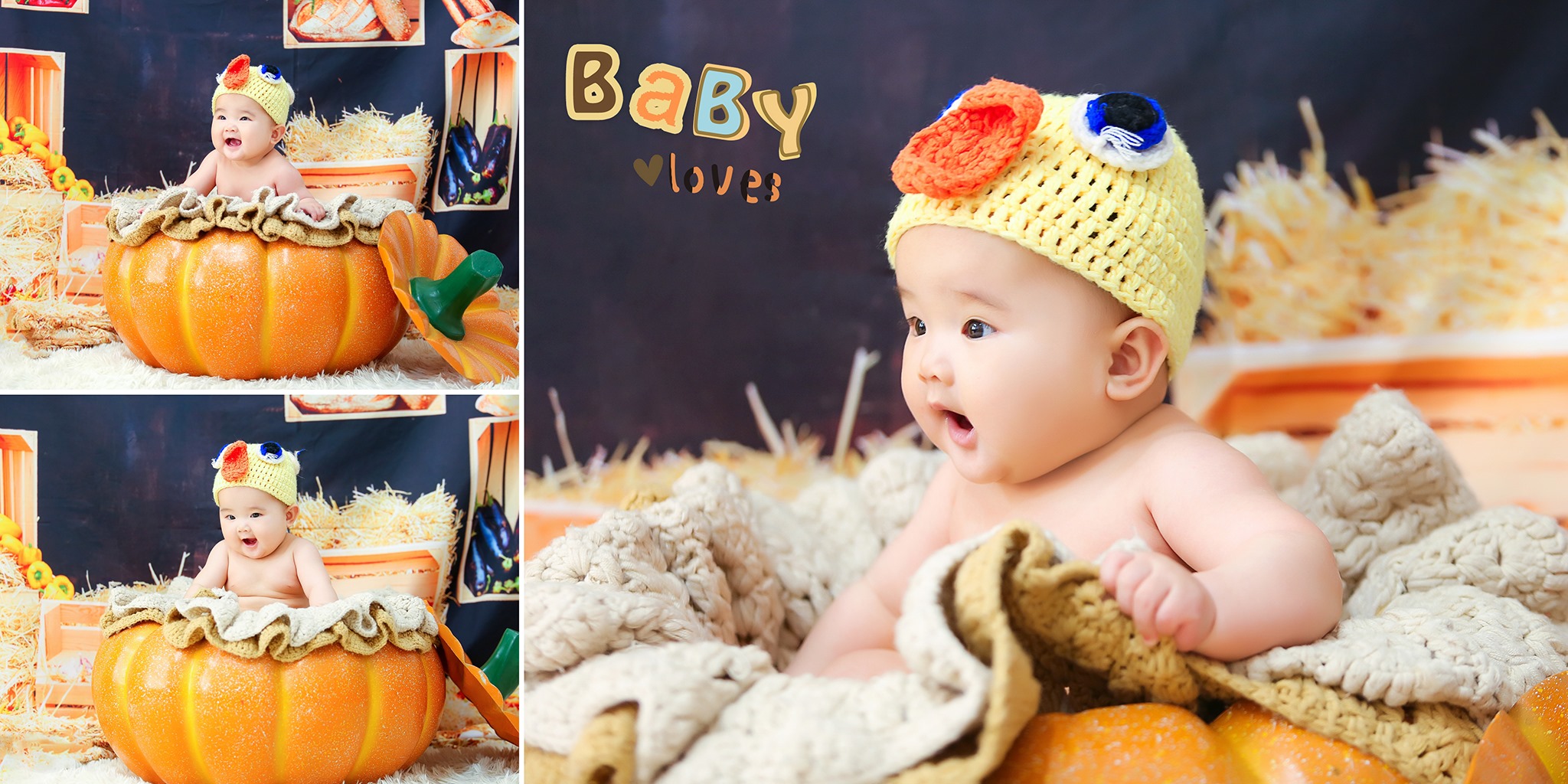 Chuột Baby Studio ảnh 1