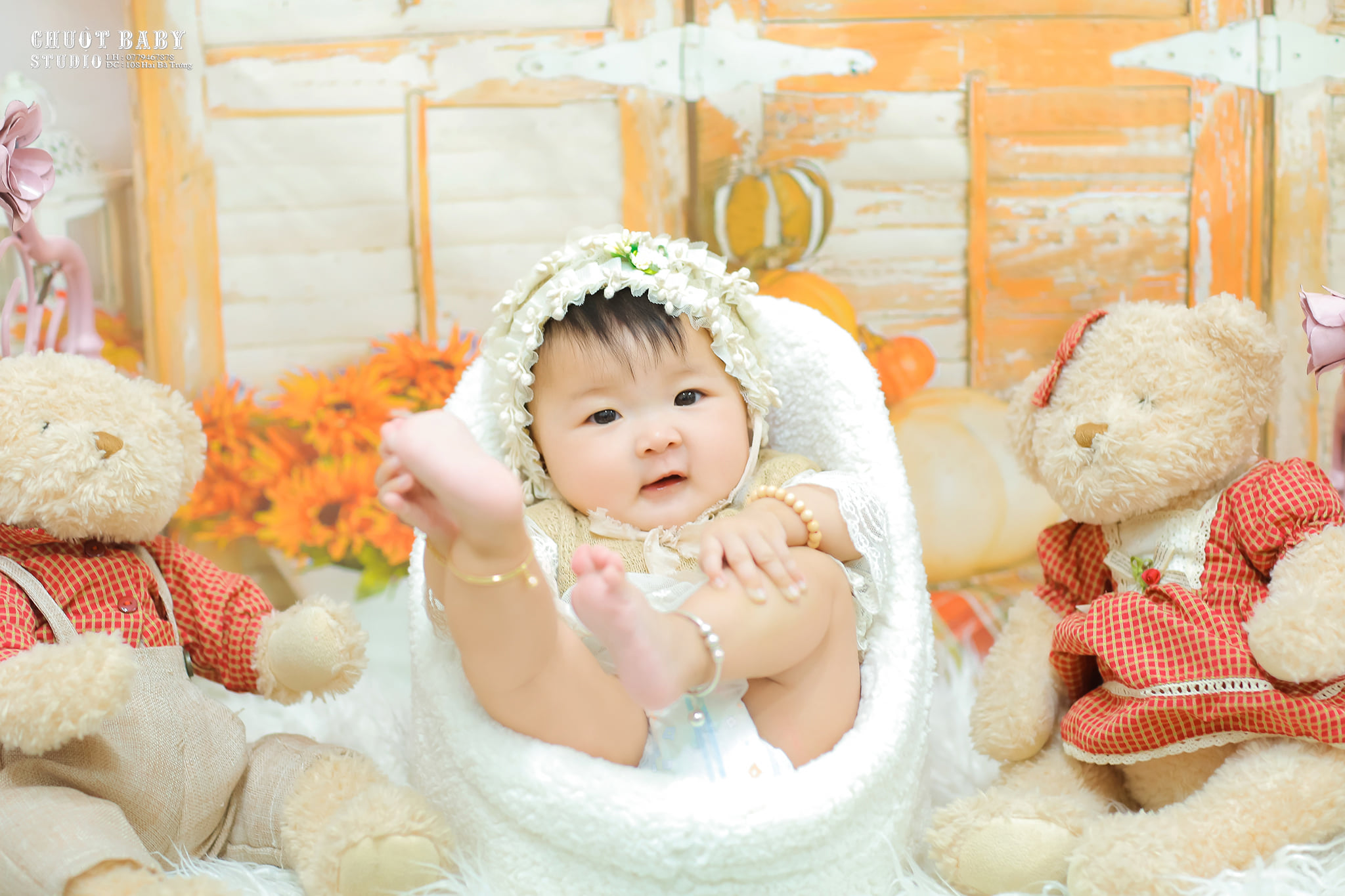 Chuột Baby Studio ảnh 3