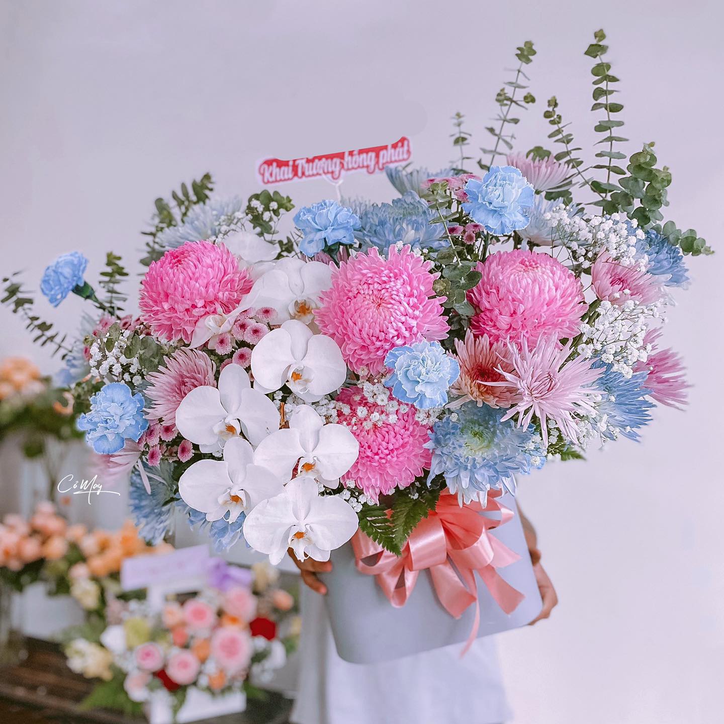 Cỏ.May Flowers ảnh 1