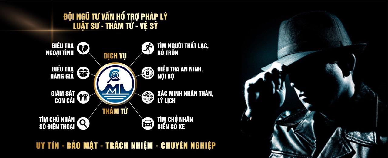 Dịch vụ thám tử Mai Linh ảnh 2