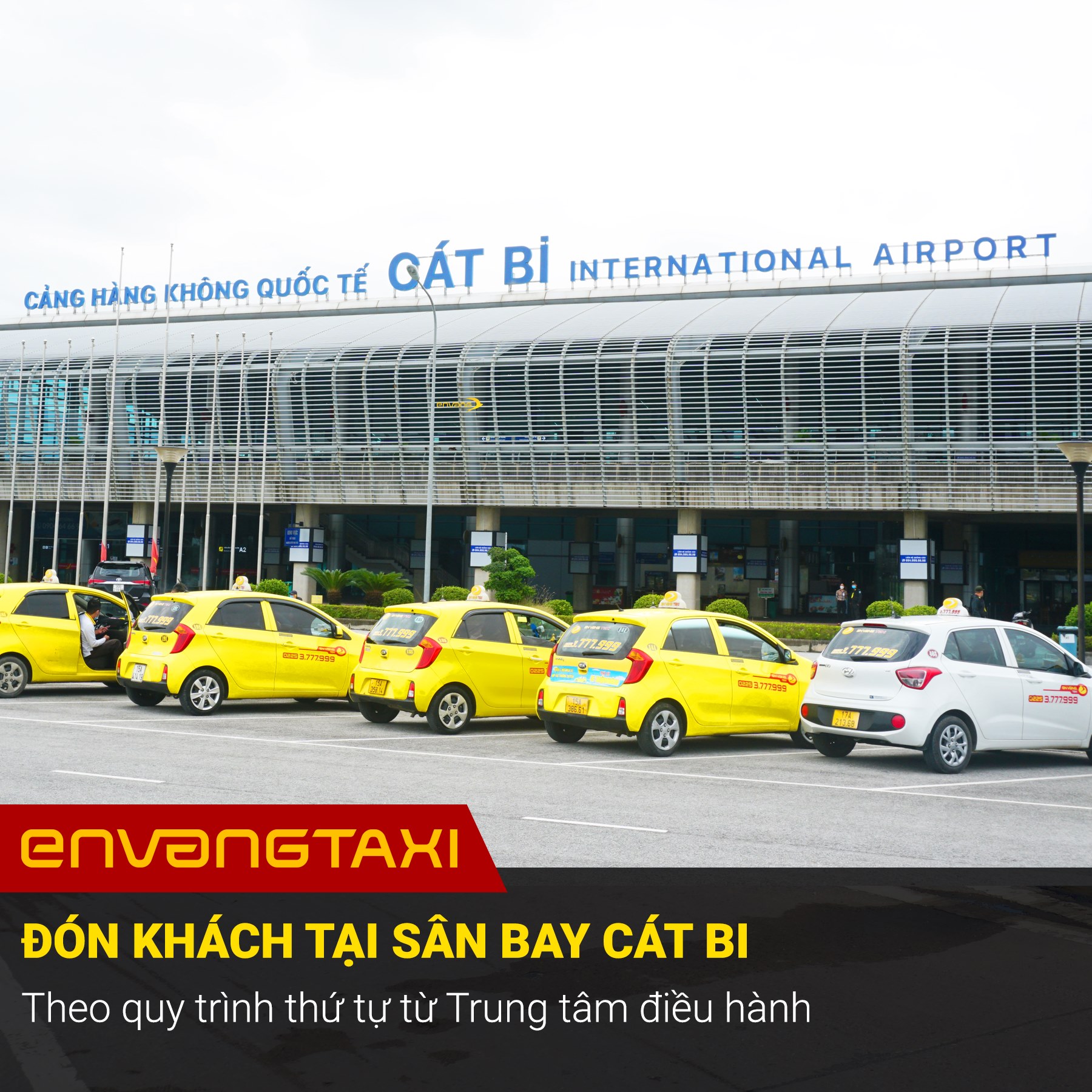 Én Vàng Taxi ảnh 2