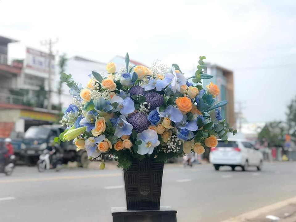 Hoa Đăng Flower ảnh 2