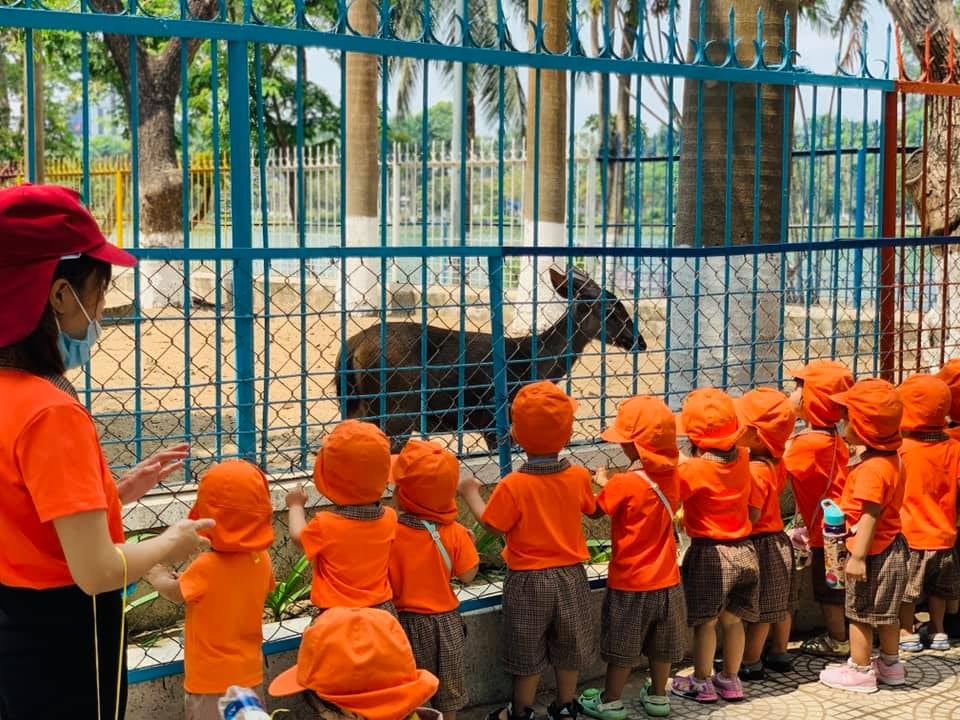 MẦM NON GIA VIÊN MONTESSORI HÒA XUÂN ảnh 2