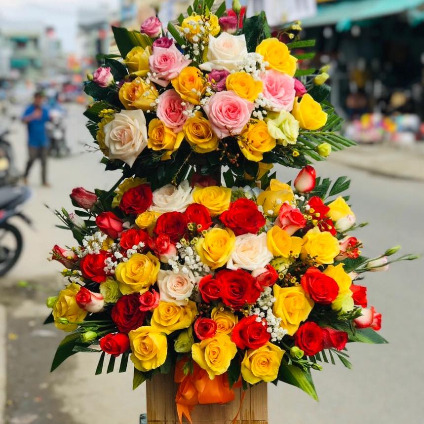 Mai Flowers ảnh 1