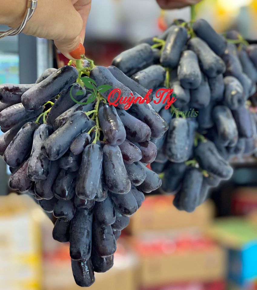 Quỳnh Thj Fruits & Wines ảnh 2