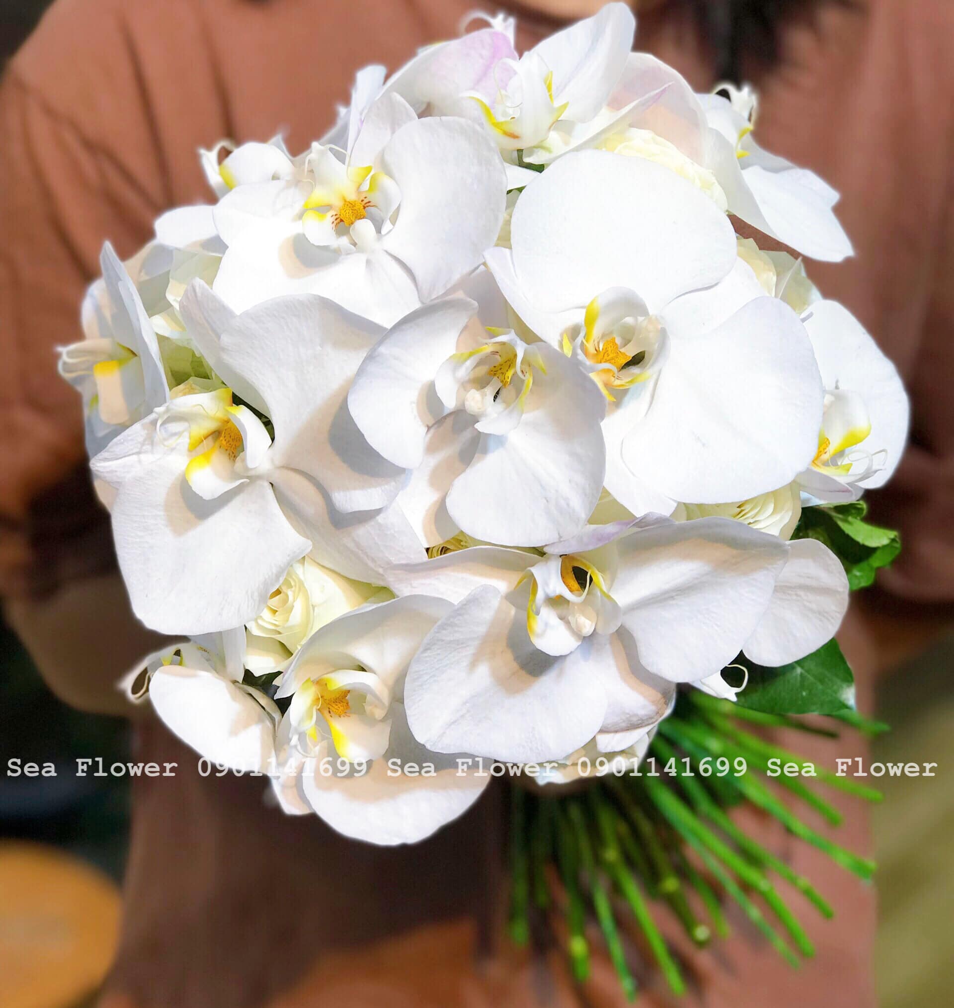 Sea Flower Quy Nhơn ảnh 2