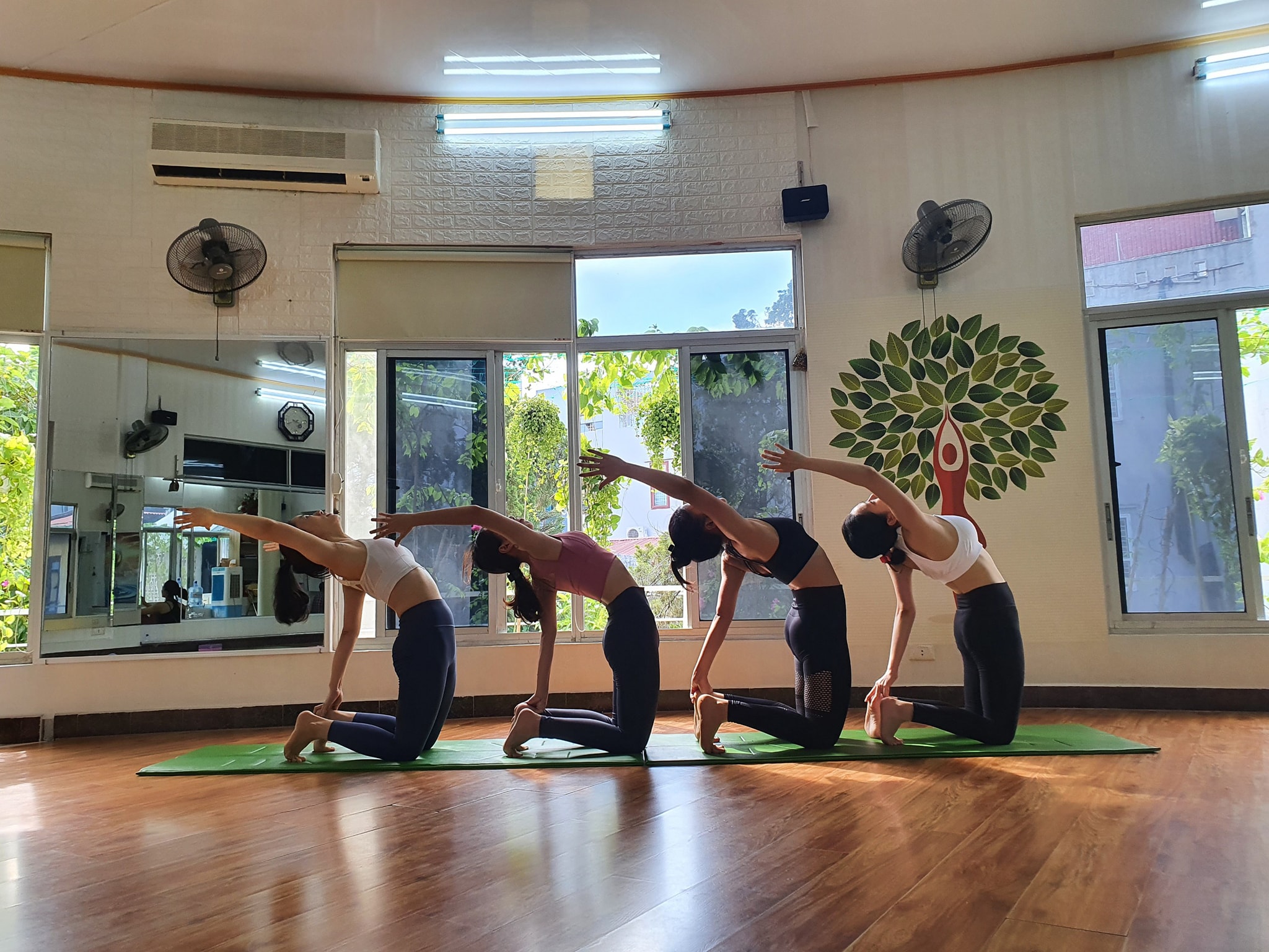 Sunshine Yoga ảnh 1