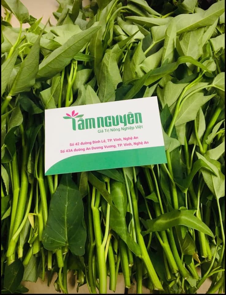 Thực phẩm an toàn Tâm Nguyên ảnh 3