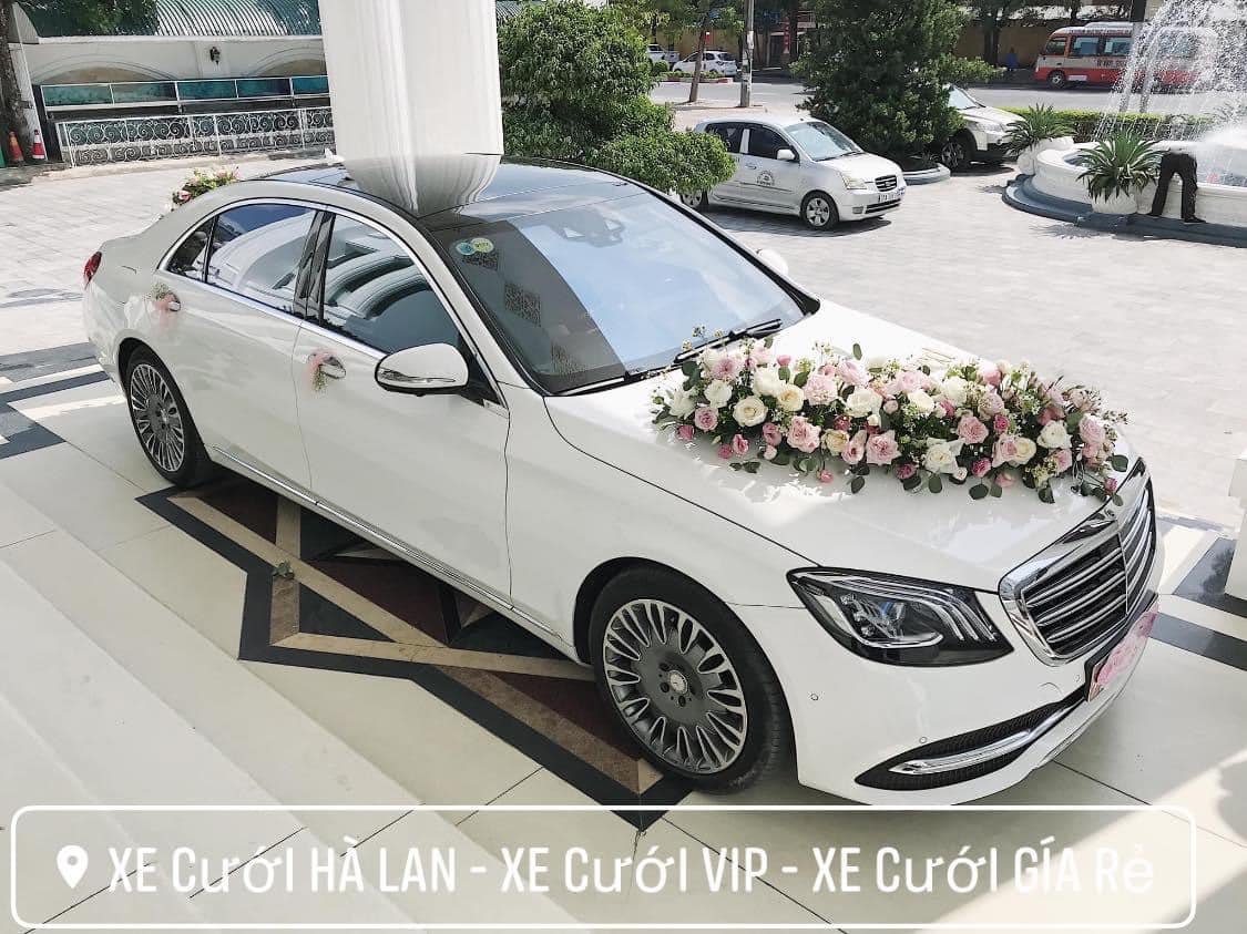 Xe Cưới Hà Lan ảnh 2