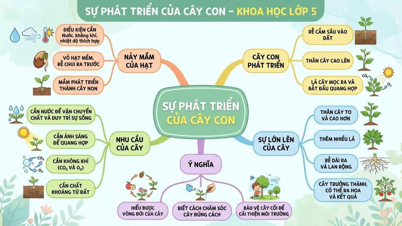 Sơ đồ tóm tắt môn khoa học 5 - Bài Sự phát triển của cây con