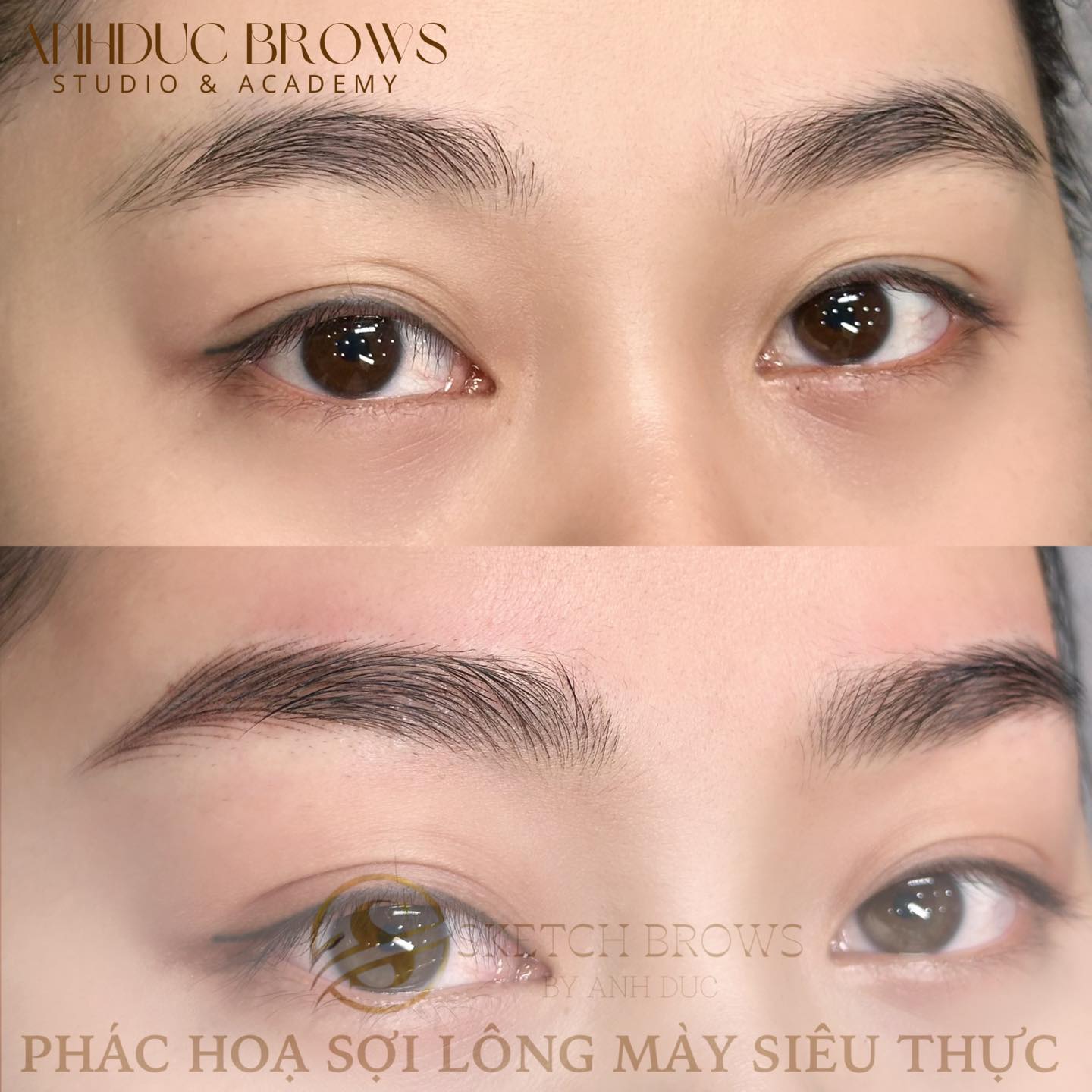 Anh Duc Brows ảnh 1