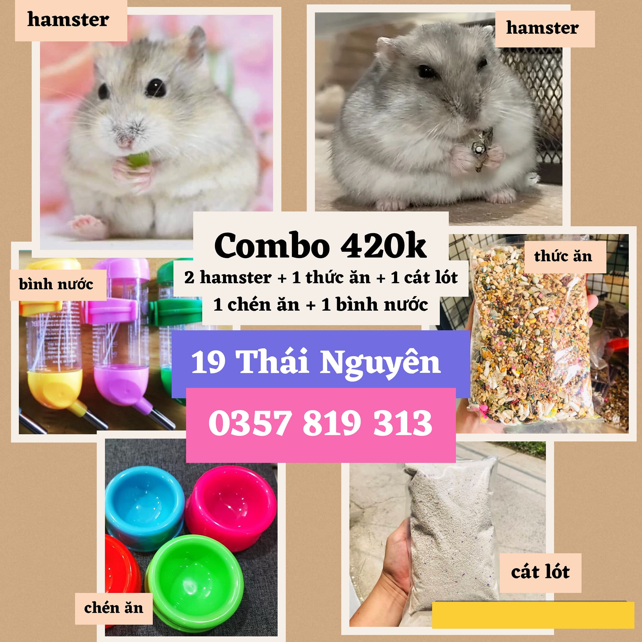 BỤI Hamster Nha Trang ảnh 2