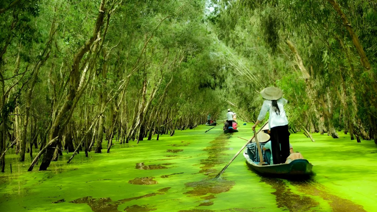 Bài hát hay nhất về An Giang