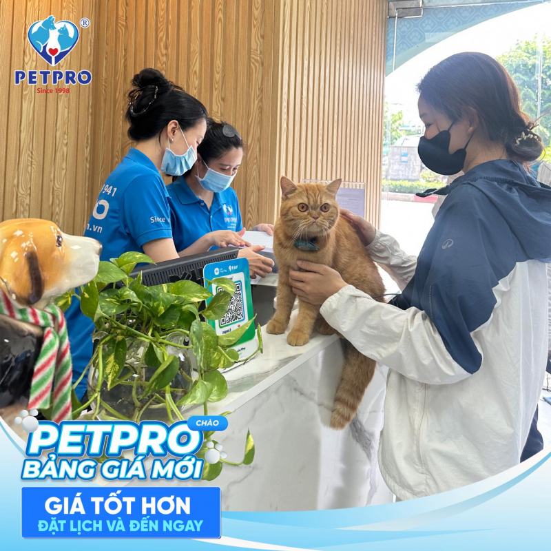 Bệnh viện Thú-Y PETPRO ảnh 1