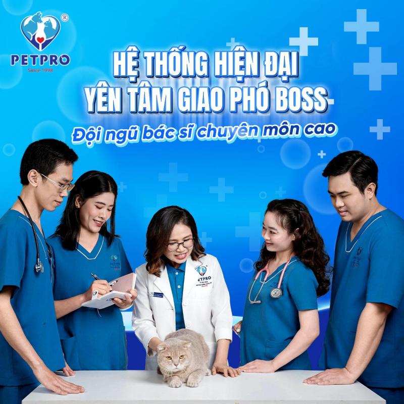 Bệnh viện Thú-Y PETPRO ảnh 2