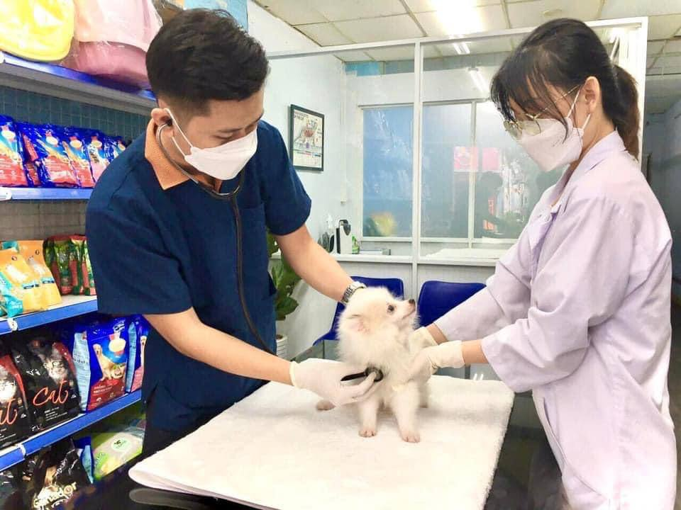 Ảnh minh hoạ (Nguồn internet) ảnh 1