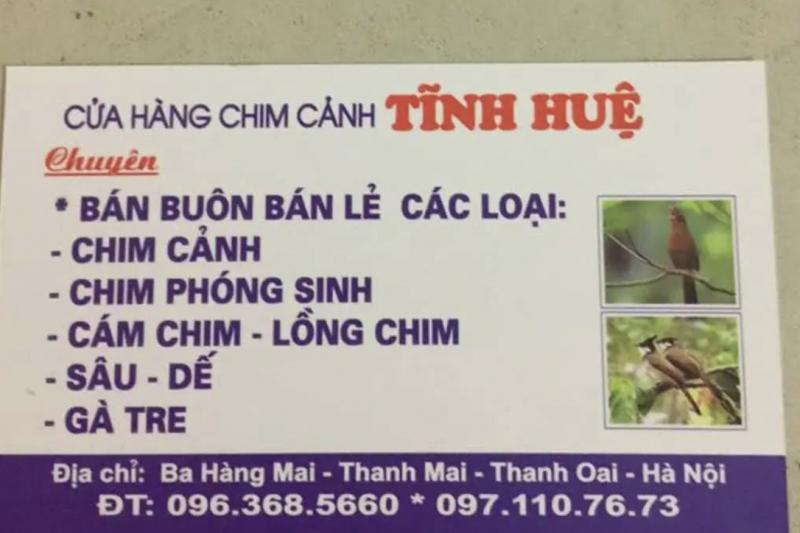 Cửa hàng chim cảnh Tĩnh Huệ ảnh 1