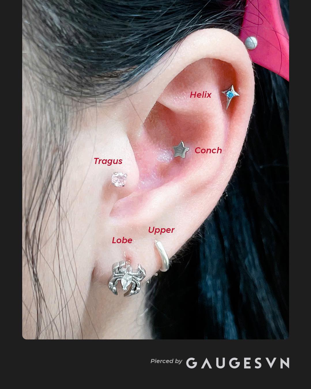 Gauges Piercing ảnh 1