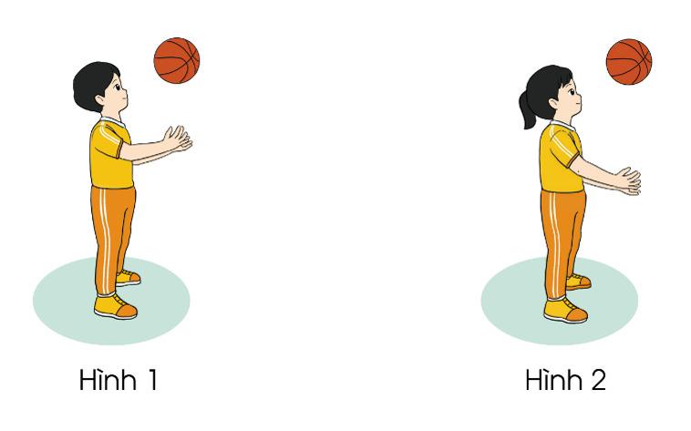 Giáo án Tung bóng lên cao và bắt bóng (lớp 3 - 4 tuổi) chi tiết nhất