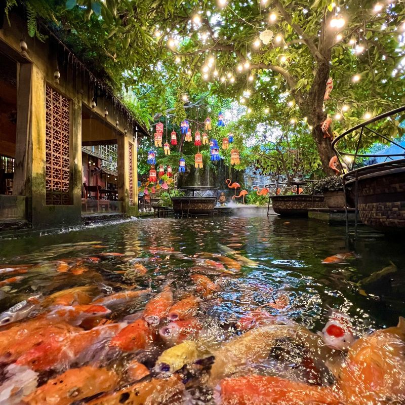 Góc Phố Koi ảnh 1