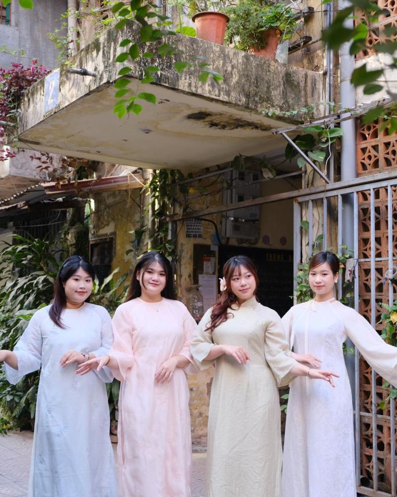 MAP Dress Bigsize ảnh 2