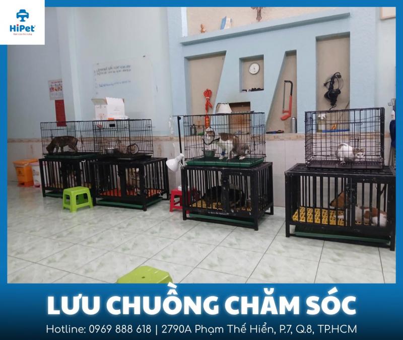 Phòng khám thú y HiPet ảnh 1