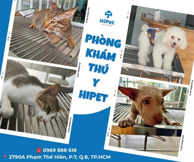 Phòng khám thú y HiPet ảnh 2