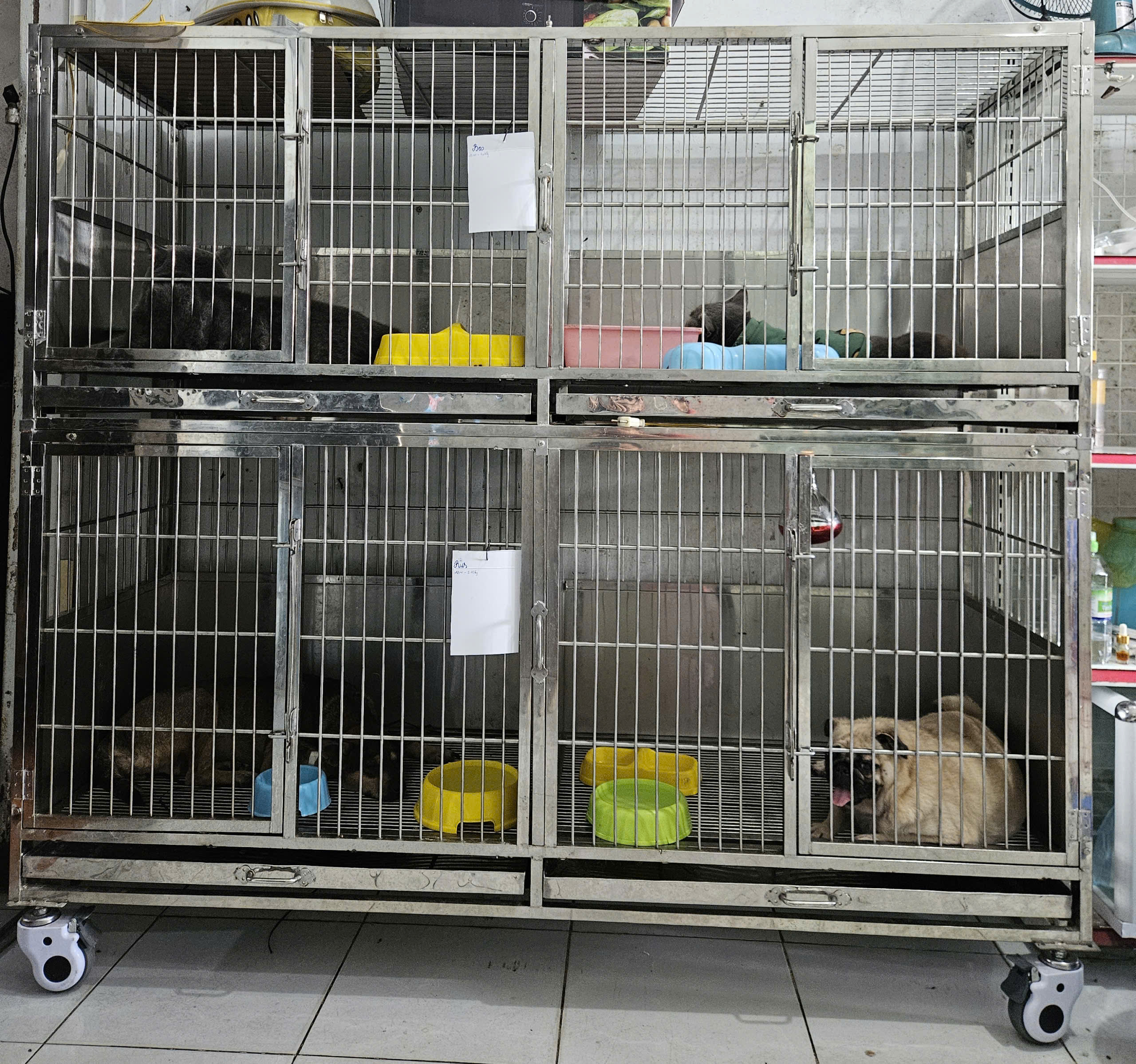 Phòng khám thú y Hữu Nhân ảnh 3