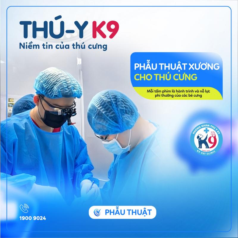 Phòng khám thú y K9 ảnh 1