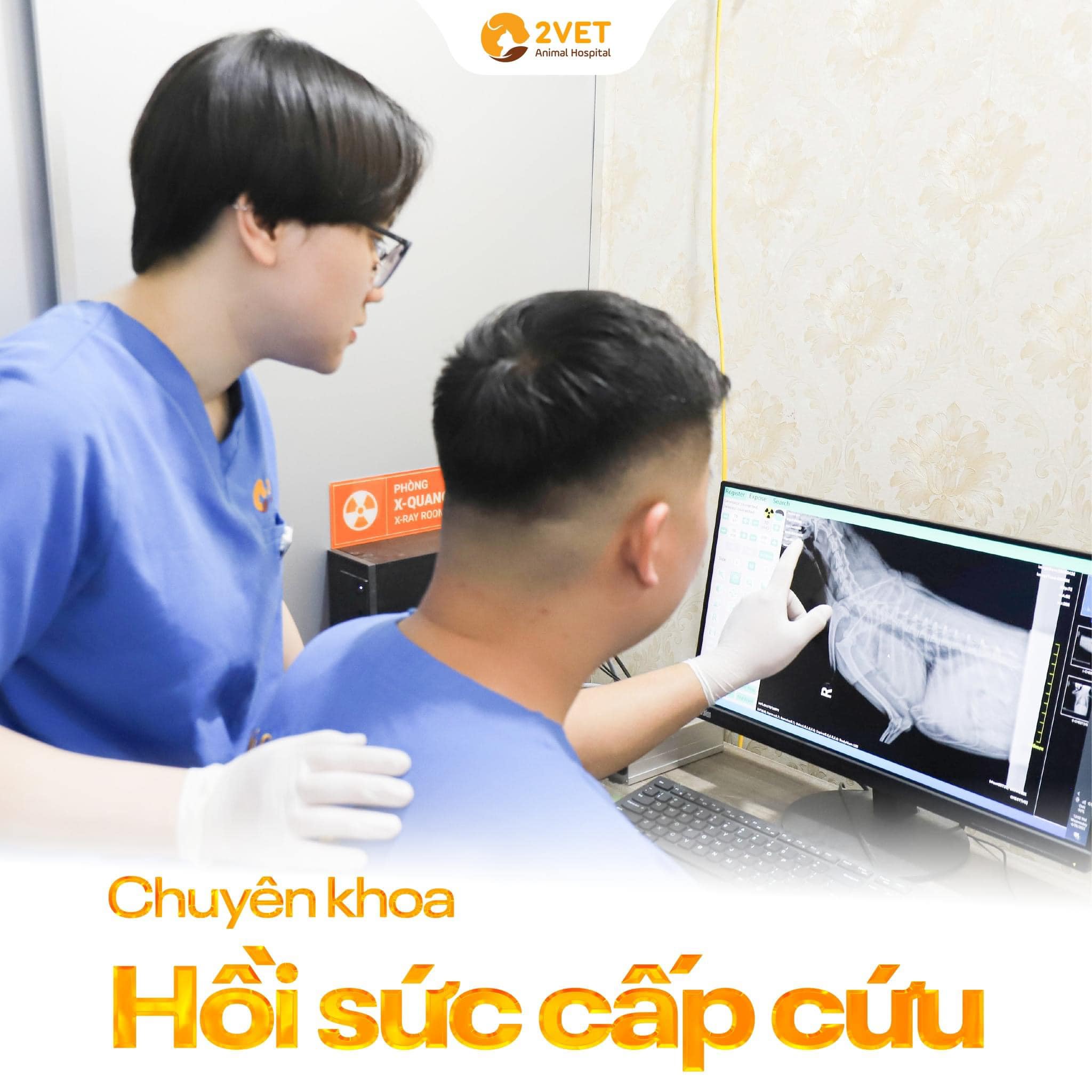 Ảnh minh hoạ (Nguồn: bệnh viện thú y 2Vet ) ảnh 1