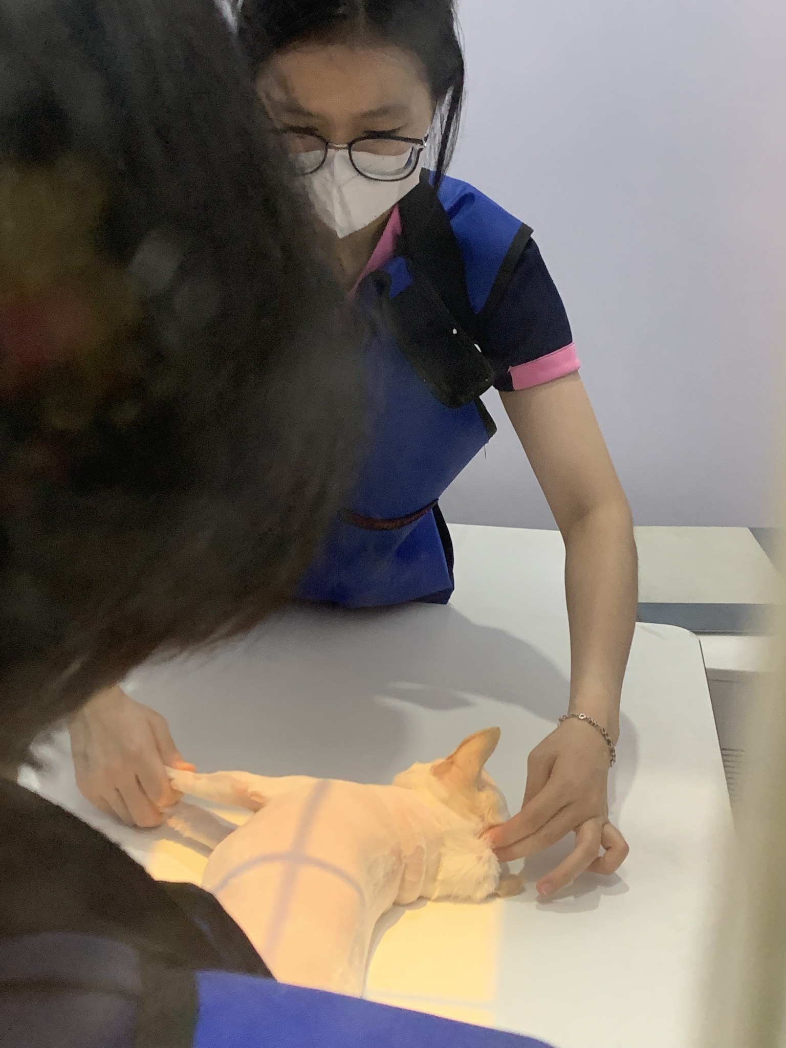 Samyang Animal Clinic ảnh 1