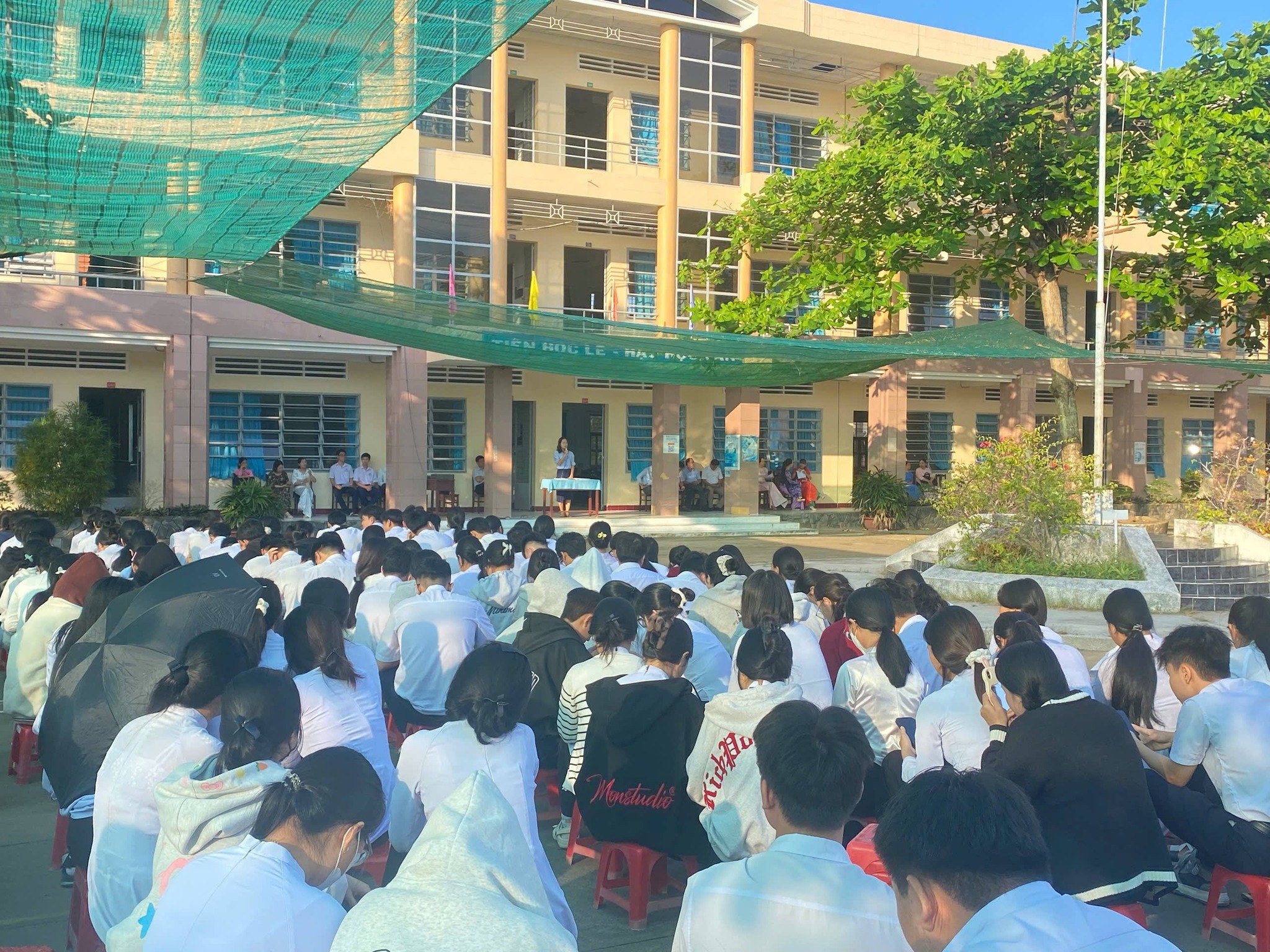 Trường THPT Phan Văn Trị ảnh 1