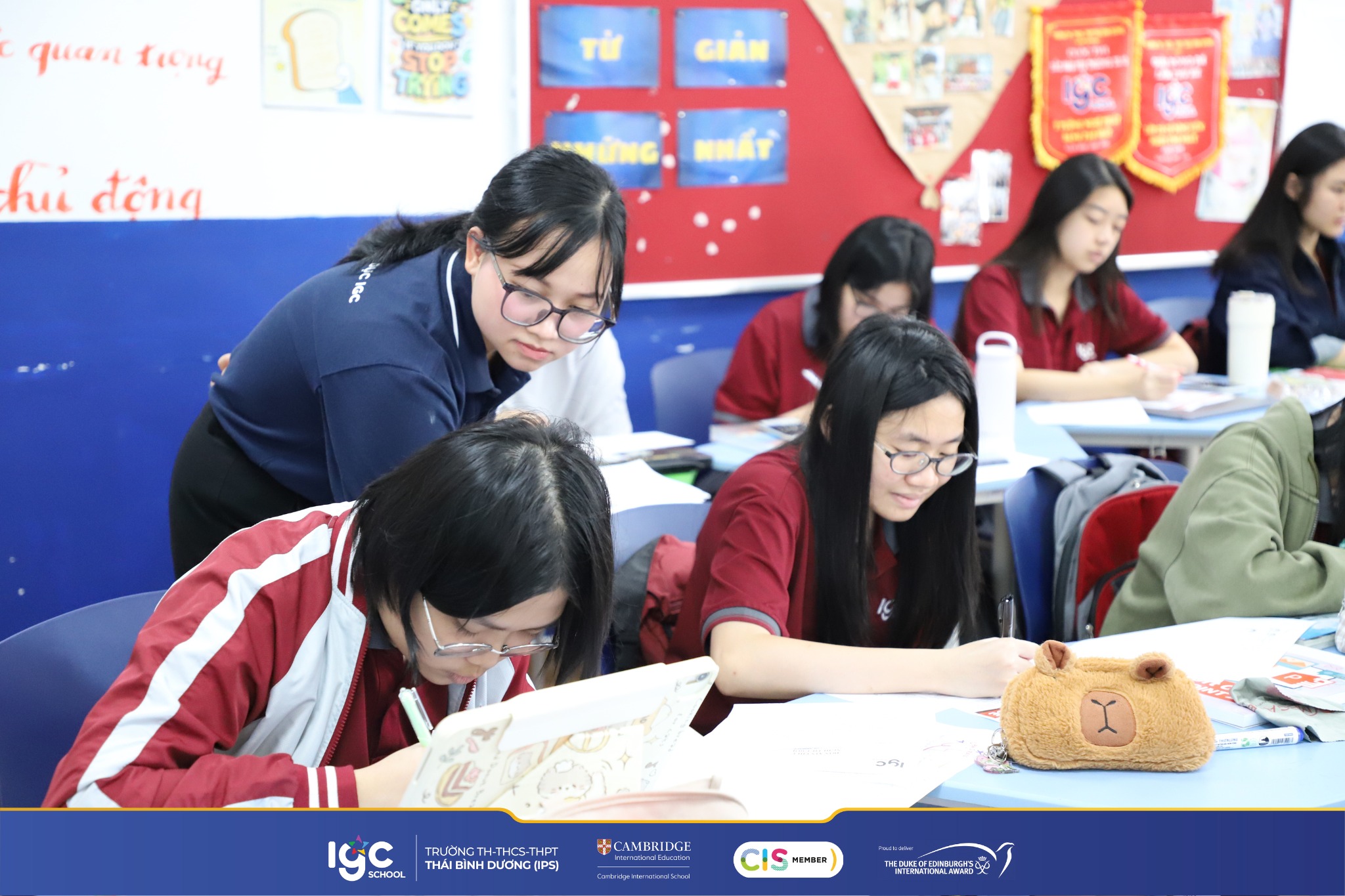 Trường TH - THCS - THPT Thái Bình Dương ảnh 1